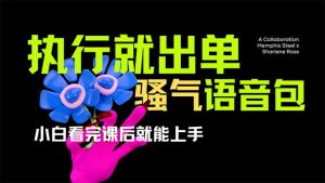 爆火全网的开车导航骚气语音包,只要执行就出单，小白看完课程就能实操...-副业网创