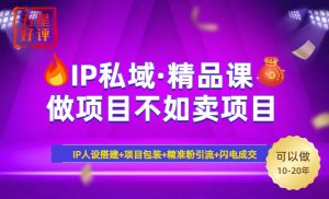 2025年“IP私域·密训精品课”，日赚3000+小白避坑年赚百万，暴力引流...-副业网创