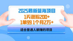 2025蓝海项目 1天涨粉200+ 1单99 1个月2万+-副业网创
