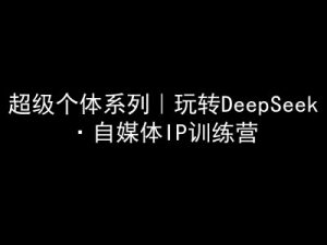 超级个体系列，玩转DeepSeek·自媒体IP训练营，deepseek教程-副业网创