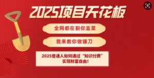 2025项目天花板普通人如何通过知识付费，实现财F自由【揭秘】-副业网创