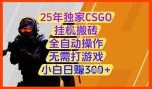 25年独家CSGO挂G搬砖,全自动操作,无需打游戏,小白日入3张+【揭秘】-副业网创