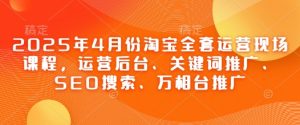 2025年4月份淘宝全套运营现场课程，运营后台、关键词推广、SEO搜索、万相台推广-副业网创