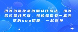 拼多多最快最多黑科技玩法,拼多多起量并不难,难的是没有一套完整的sop流程,一起爆单!-副业网创