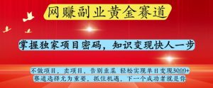 网创副业黄全赛道,掌握独家项目密码,知识变现快人一步,告别韭菜轻松实现单日变现1k+【揭秘】-副业网创