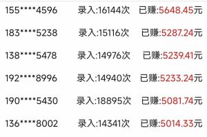 信息录入，几秒一单，只需一部手机，小白轻松上手，日入500＋-副业网创