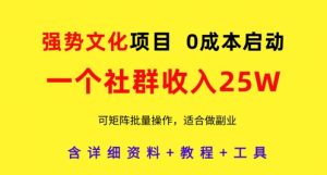 强势文化项目，一个社群收入25个W，0成本启动，可矩阵批量操作，原创详细实操教程-副业网创