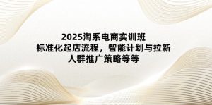 2025淘系电商实训班:标准化起店流程,智能计划与拉新,人群推广策略等等-副业网创