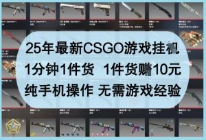 25年最新CSGO游戏挂G，1分钟1件货，1件货挣10元，纯手机操作，无需游戏经验【揭秘】-副业网创