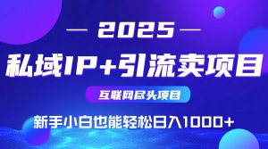 私域IP+卖项目,普通人小白也能轻松实现日入1000+-副业网创