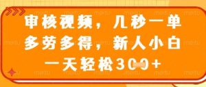 视频审核员，几秒一单，不限时间，不限地点，多做多得，新人小白一天轻松几张+【揭秘】-副业网创