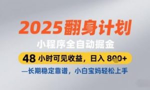 2025小程序全自动掘金,48 小时可见收益,日入8张,长期稳定靠谱,小白宝妈轻松上手【揭秘】-副业网创