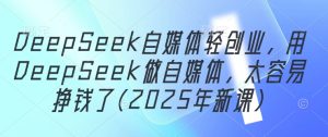 DeepSeek自媒体轻创业,用DeepSeek做自媒体,太容易挣钱了(2025年新课)-副业网创