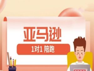 亚马逊1对1陪跑课(FBA/FBM精铺)跨境亚马逊教程-副业网创