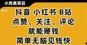 小而美的项目，抖音小红书B站视频点赞、关注、评论就能挣钱，简单无脑立见收益，妥妥的零撸项目【揭秘】-副业网创