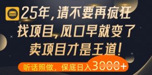 什么?25年你还在疯狂找项目做,醒醒吧,看完这些你全都懂了【揭秘】-副业网创