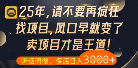 什么？25年你还在疯狂找项目做，醒醒吧，看完这些你全都懂了【揭秘】-副业网创