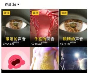 抖音坚果3D动画科普项目，撸视频号分成和抖音伙伴计划，适合零基础小白-副业网创