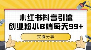 小红书抖音创业粉,小B端粉自热,日引99+的一个玩法【揭秘】-副业网创