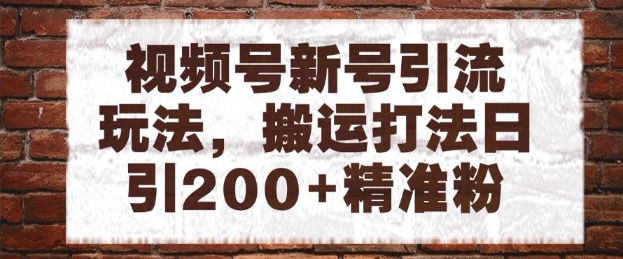 视频号新号引流玩法，搬运打法日引200+精准粉，可矩阵放大【揭秘】-副业网创