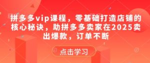 拼多多vip课程,零基础打造店铺的核心秘诀,助拼多多卖家在2025卖出爆款,订单不断-副业网创