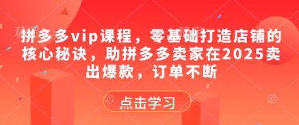 拼多多vip课程，零基础打造店铺的核心秘诀，助拼多多卖家在2025卖出爆款，订单不断-副业网创