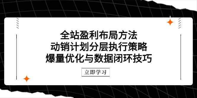 全站盈利布局方法：动销计划分层执行策略，爆量优化与数据闭环技巧-副业网创