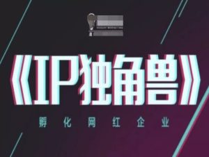 IP独角兽,孵化网红企业,ip教程-副业网创