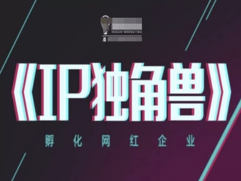 IP独角兽，孵化网红企业，ip教程-副业网创