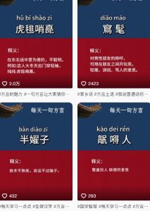 抖音最新涨粉玩法,图文方言暴力涨粉实操,126作品涨粉11W-副业网创