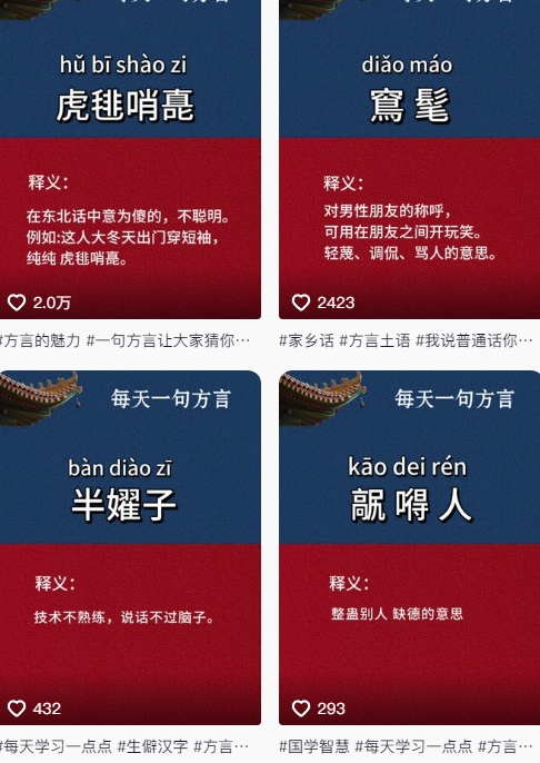 抖音最新涨粉玩法，图文方言暴力涨粉实操，126作品涨粉11W-副业网创