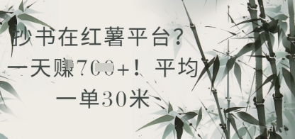 抄书在小红薯平台？平均一单30米，一天收益几张！-副业网创