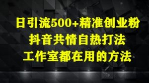 日引流500+精准创业粉,抖音共情自热打法,工作室都在用的方法-副业网创