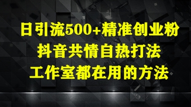 日引流500+精准创业粉，抖音共情自热打法，工作室都在用的方法-副业网创