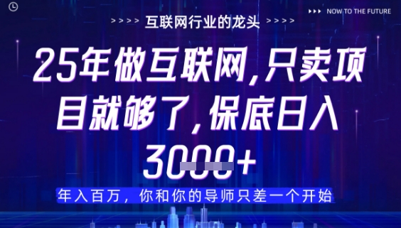 什么！25年你还在找项目做？风口早就变了，卖项目才是稳挣不赔【揭秘】-副业网创