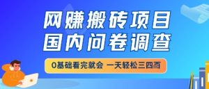 网创搬砖项目,国内问卷调查,小白轻松上手,一天三四张的也不难,干就完了【揭秘】-副业网创