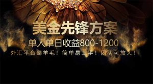 免费技术！小众赛道！一年布局抵三年努力，每日800+-副业网创