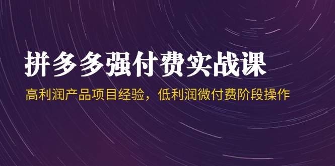 拼多多强付费实战课-44期，高利润产品项目经验，低利润微付费阶段操作-副业网创