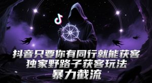 抖音只要你有同行就能获客，独家野路子获客玩法，暴力截流【揭秘】-副业网创