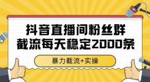 抖音直播间粉丝群暴力截流,一台电脑每天稳定2000条数据,暴力截流+实操 【揭秘】-副业网创