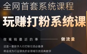 2025行业首套全网全域打粉系统神课，做流量做离钱最近的事，一套新手入行打粉引流必备课-副业网创