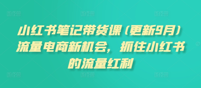 小红书笔记带货课(更新25年4月)流量电商新机会，抓住小红书的流量红利-副业网创