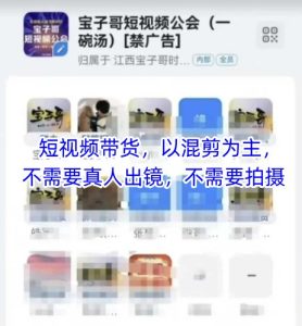 宝子哥头部团队短视频带货，以混剪为主，不需要真人出镜，不需要拍摄-副业网创