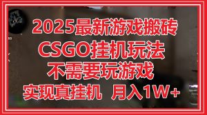 2025最新游戏搬砖,CSGO挂机,不需要玩游戏,实现真挂机,月入1W+-副业网创