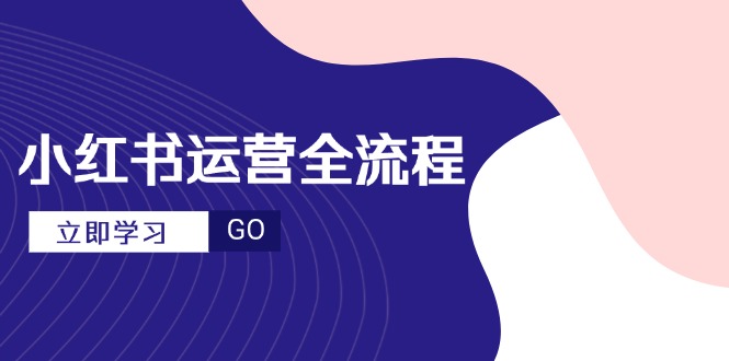 小红书运营全流程，爆款选题文案，视频制作技巧，进阶达人宝典-副业网创