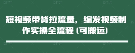 短视频带货拉流量，编发视频制作实操全流程(可搬运)-副业网创