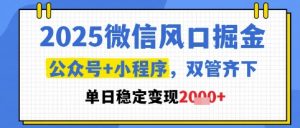 2025微信风口掘金,公众号+小程序双管齐下,单日稳定变现1k+【揭秘】-副业网创