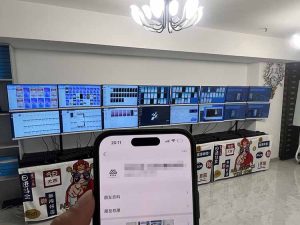 2025年实操六大项目实操演练，挂机类型，AI直播类型，轻资产创业类型，...-副业网创