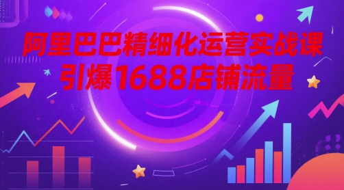阿里巴巴精细化运营实战课，引爆1688店铺流量-副业网创