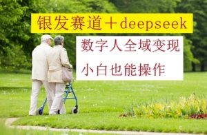银发赛道+deepseek数字人全域变现，小白也能操作-副业网创